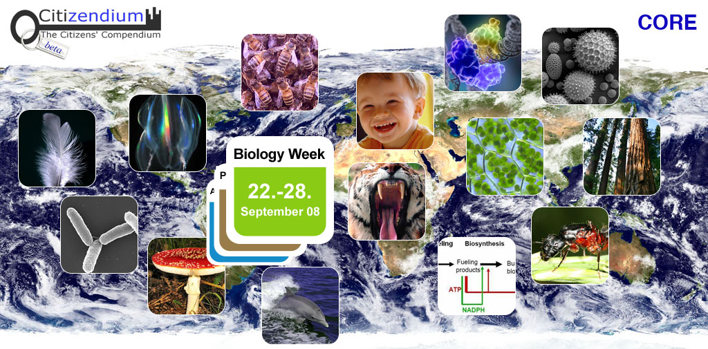 Draft image for PLoS article on Biology week 080622mr.jpg