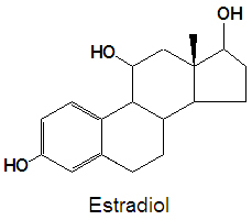 Estradiol DEVolk.jpg
