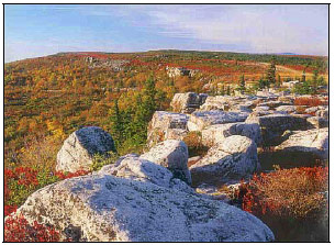 Dolly Sods photo