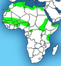 Distribution of the Egyptian cobra