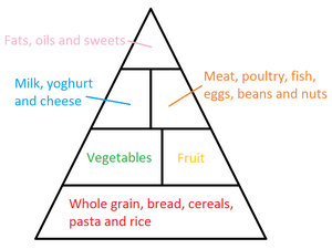 Food Pyramid.png