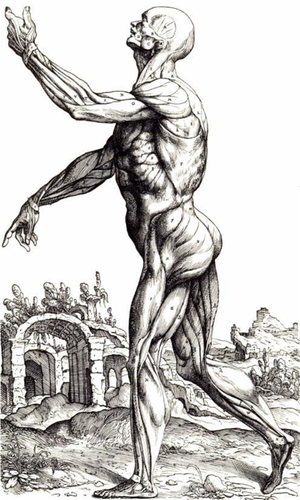 Figure accompanying Fabrica- Table 2, Book 2.png