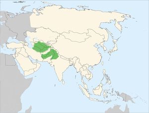 Central Asian cobra distribution.jpg