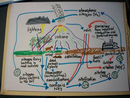 Diagram of a volcano and fields and pollution showing the different stages of nitrogen.