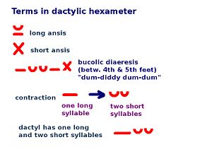 Terms In Dactylic Hexameter.jpg