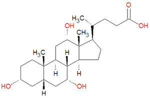 Lithocholic acid.png
