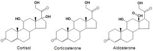 Cortisol corticosterone aldosterone stickfig DEVolk.jpg