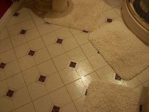 Picture of a bathroom floor.