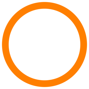 Orange circle 100%.svg.png