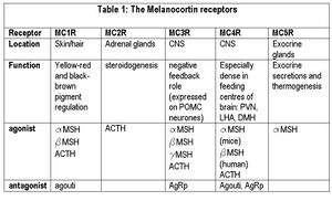 Melanocortin receptors.JPG